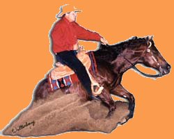 reining1.jpg (11545 bytes)